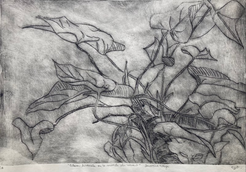 Drawings and Etching