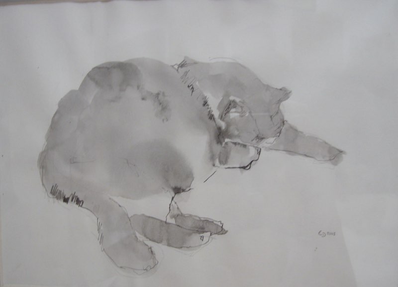 Rocco le chat, Lavis, 20x25, 2005