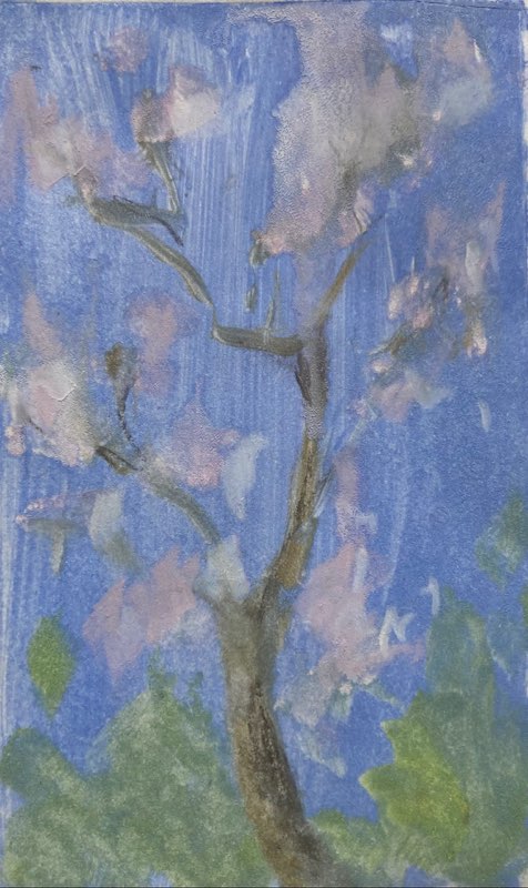 Blossom, Monotype, 10x6, 2024