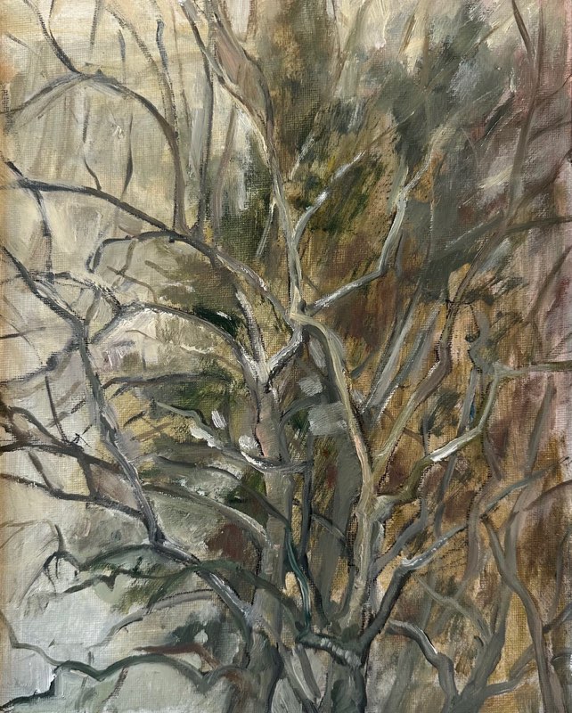 Tree in winter, Oil on canvas, 30x24, 2026